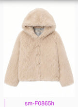 Load image into Gallery viewer, Hood coat
